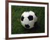 Soccer Ball in Grass-null-Framed Photographic Print