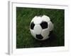 Soccer Ball in Grass-null-Framed Photographic Print