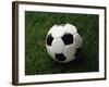 Soccer Ball in Grass-null-Framed Photographic Print