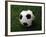 Soccer Ball in Grass-null-Framed Photographic Print