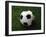 Soccer Ball in Grass-null-Framed Photographic Print