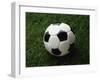 Soccer Ball in Grass-null-Framed Photographic Print