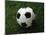 Soccer Ball in Grass-null-Mounted Photographic Print