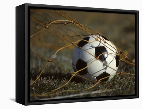 Soccer Ball in Net-null-Framed Stretched Canvas