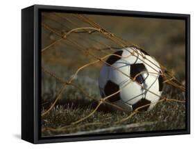 Soccer Ball in Net-null-Framed Stretched Canvas