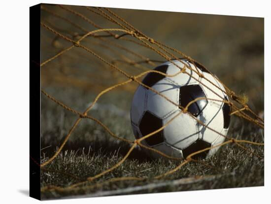 Soccer Ball in Net-null-Stretched Canvas