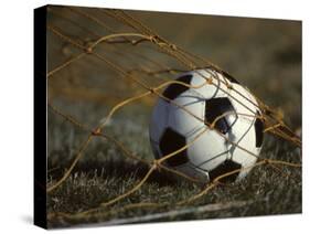 Soccer Ball in Net-null-Stretched Canvas