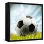 Soccer Ball Resting on Grass-null-Framed Stretched Canvas