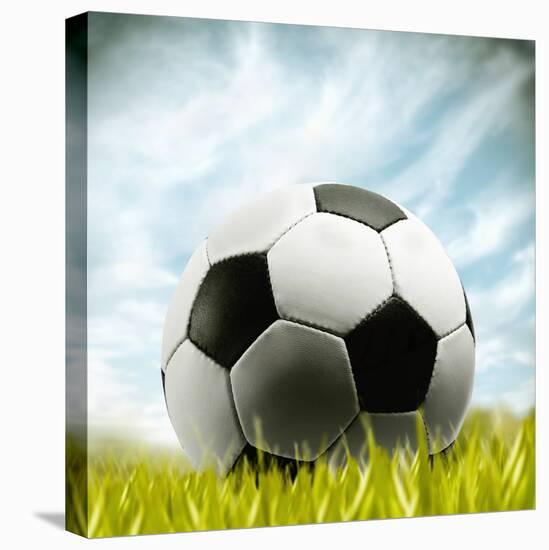 Soccer Ball Resting on Grass-null-Stretched Canvas