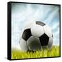 Soccer Ball Resting on Grass-null-Framed Stretched Canvas