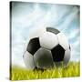 Soccer Ball Resting on Grass-null-Stretched Canvas