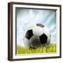 Soccer Ball Resting on Grass-null-Framed Premium Photographic Print