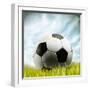 Soccer Ball Resting on Grass-null-Framed Premium Photographic Print
