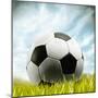 Soccer Ball Resting on Grass-null-Mounted Premium Photographic Print