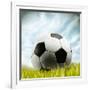 Soccer Ball Resting on Grass-null-Framed Photographic Print