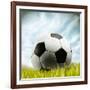 Soccer Ball Resting on Grass-null-Framed Photographic Print