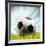 Soccer Ball Resting on Grass-null-Framed Photographic Print