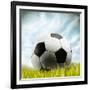 Soccer Ball Resting on Grass-null-Framed Photographic Print