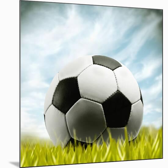 Soccer Ball Resting on Grass-null-Mounted Photographic Print