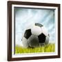 Soccer Ball Resting on Grass-null-Framed Photographic Print