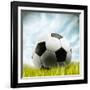 Soccer Ball Resting on Grass-null-Framed Photographic Print