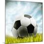 Soccer Ball Resting on Grass-null-Mounted Photographic Print
