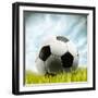 Soccer Ball Resting on Grass-null-Framed Photographic Print