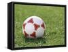 Soccer Ball-null-Framed Stretched Canvas