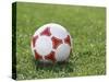 Soccer Ball-null-Stretched Canvas