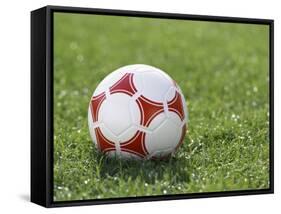 Soccer Ball-null-Framed Stretched Canvas