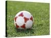Soccer Ball-null-Stretched Canvas