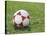 Soccer Ball-null-Stretched Canvas