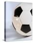 Soccer Ball-Tom Grill-Stretched Canvas