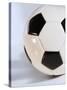 Soccer Ball-Tom Grill-Stretched Canvas