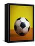 Soccer Ball-Randy Faris-Framed Stretched Canvas