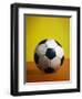 Soccer Ball-Randy Faris-Framed Premium Photographic Print