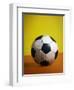 Soccer Ball-Randy Faris-Framed Premium Photographic Print