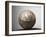 Soccer ball-Paul Taylor-Framed Premium Photographic Print