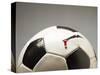 Soccer ball-Paul Taylor-Stretched Canvas