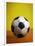 Soccer Ball-Randy Faris-Framed Photographic Print