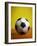 Soccer Ball-Randy Faris-Framed Photographic Print