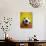 Soccer Ball-Randy Faris-Photographic Print displayed on a wall