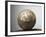 Soccer ball-Paul Taylor-Framed Photographic Print