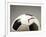 Soccer ball-Paul Taylor-Framed Photographic Print