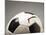 Soccer ball-Paul Taylor-Mounted Photographic Print