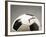 Soccer ball-Paul Taylor-Framed Photographic Print