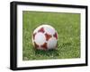 Soccer Ball-null-Framed Photographic Print