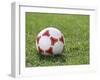 Soccer Ball-null-Framed Photographic Print