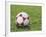 Soccer Ball-null-Framed Photographic Print