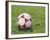 Soccer Ball-null-Framed Photographic Print